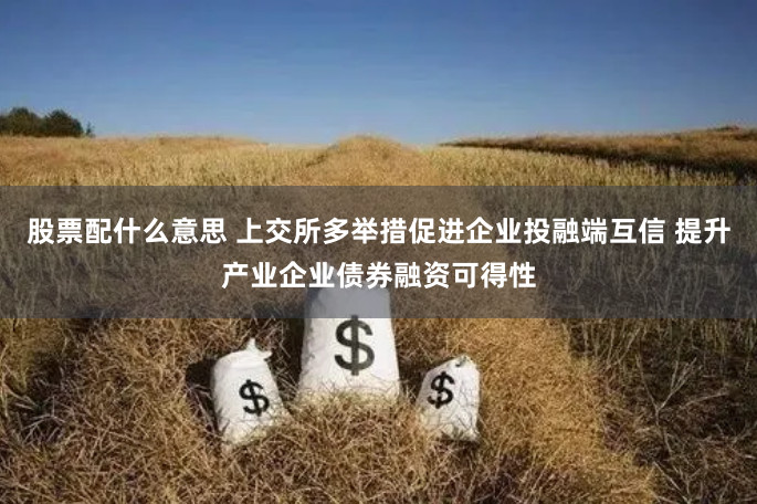 股票配什么意思 上交所多举措促进企业投融端互信 提升产业企业债券融资可得性