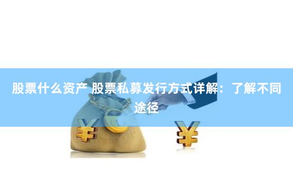 股票什么资产 股票私募发行方式详解：了解不同途径