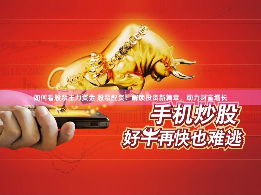 如何看股票主力资金 股票配资：解锁投资新篇章，助力财富增长