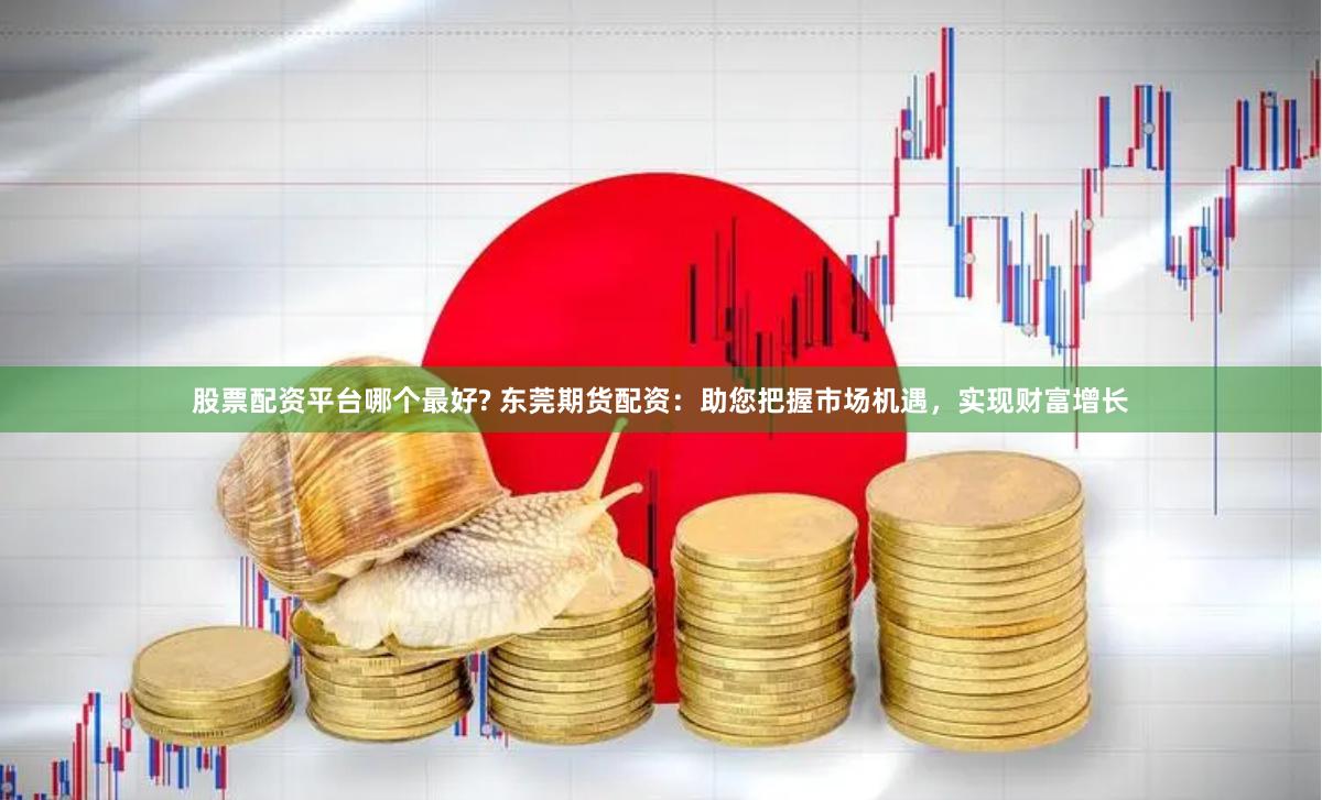 股票配资平台哪个最好? 东莞期货配资：助您把握市场机遇，实现财富增长